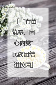 “育苗筑基、同心向党”民族团结进校园